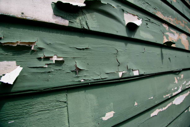 Best Residential Junk Removal  in Bnchard, LA